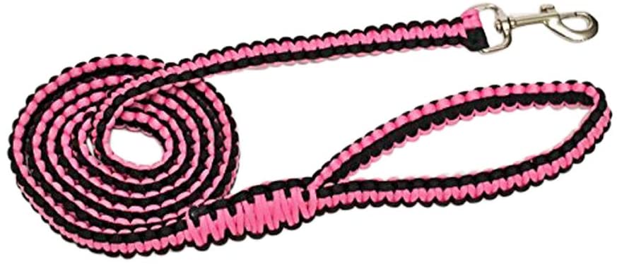 Ten Point Gear 6 Feet Long Nylon Durable & Comfortable Paracord Dog Leash with Strong Metal Clasp (Pink Pooch)